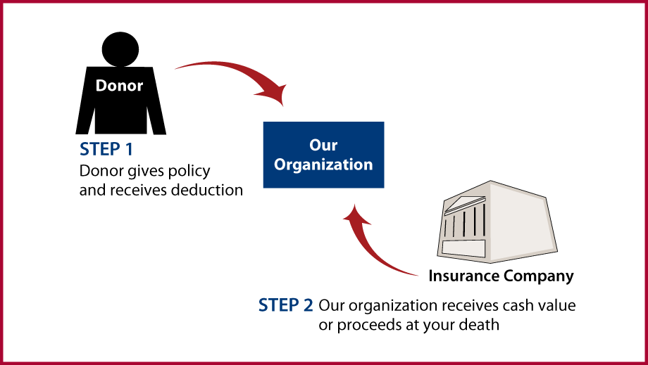 Life Insurance Policy Thumbnail